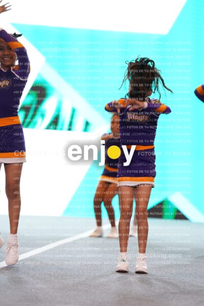 Vks0313