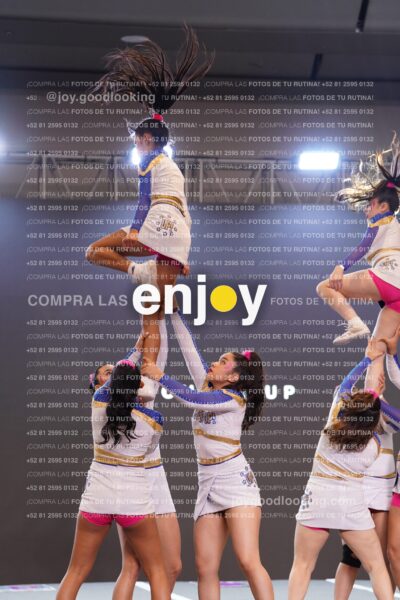 Wlf0267