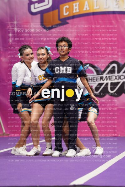 Cms0325