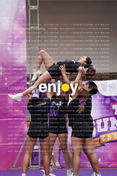 Cnt0377