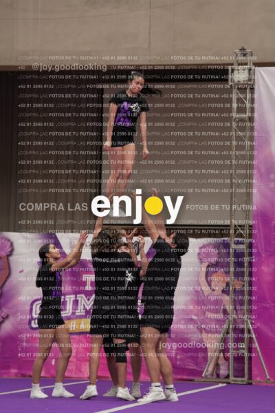 Cnt0539