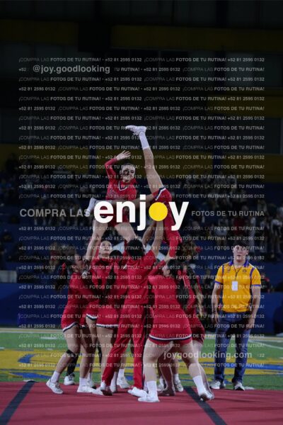 Efy0224