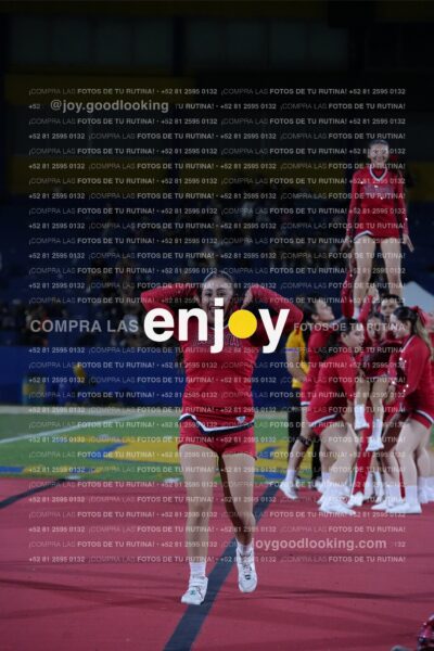 Efy0232