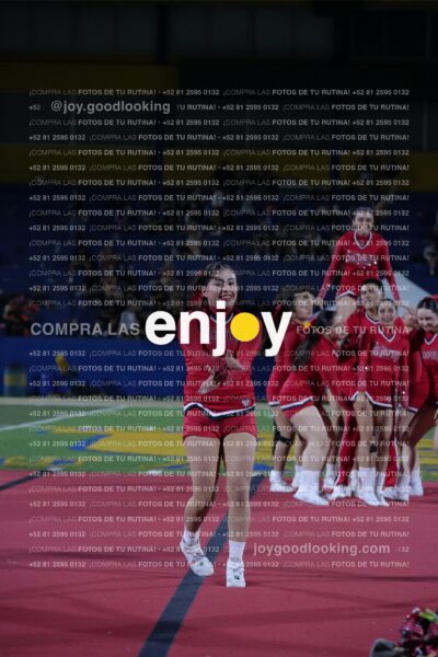 Efy0233