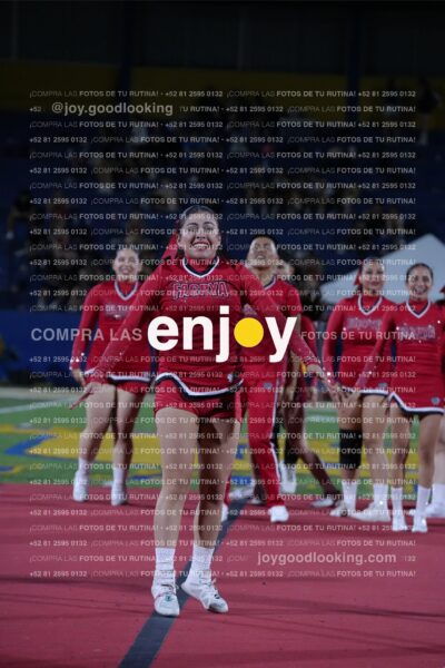 Efy0238