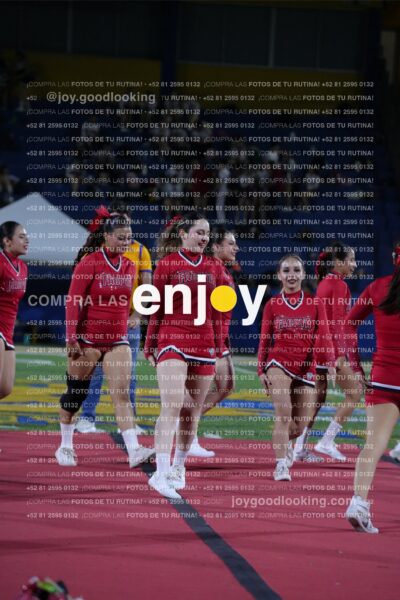 Efy0241