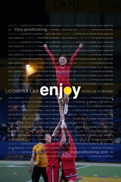 Efy0249