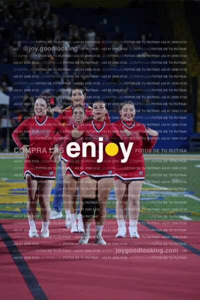 Efy0253