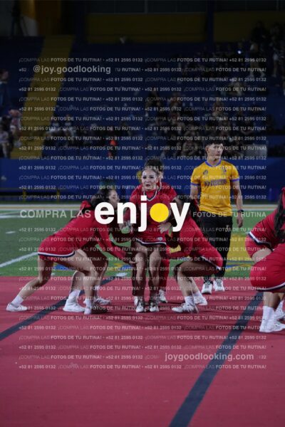 Efy0259