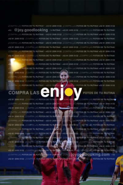 Efy0265