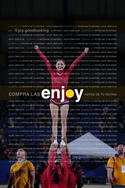 Efy0271
