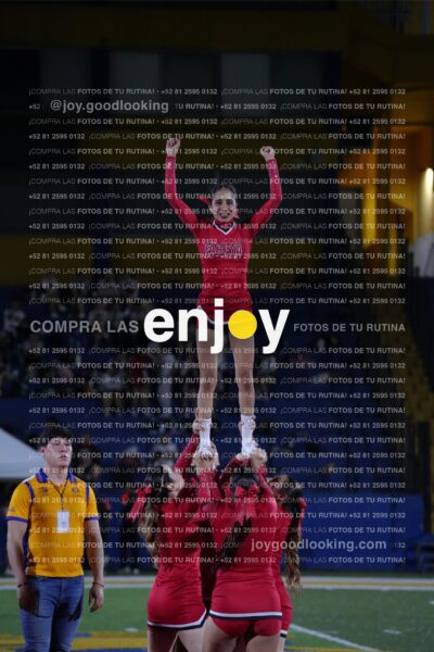 Efy0273