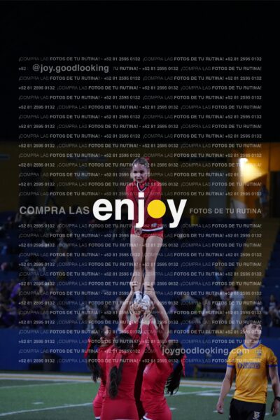 Efy0281