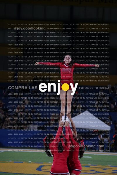Efy0282