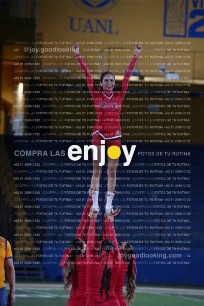 Efy0288