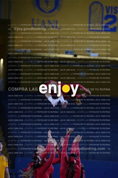 Efy0293