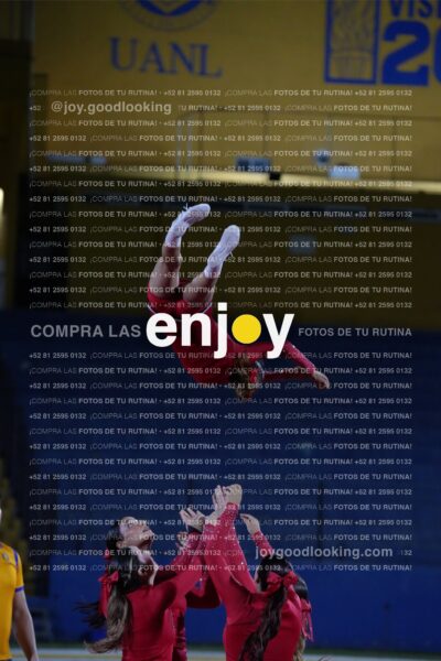 Efy0294