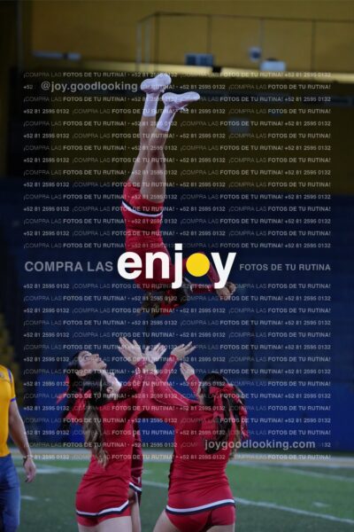 Efy0295