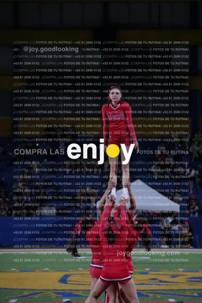 Efy0299