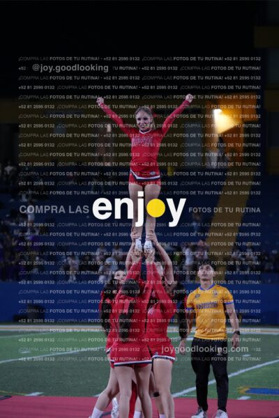 Efy0306