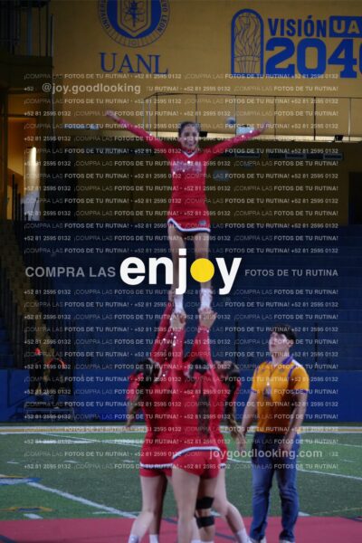 Efy0307