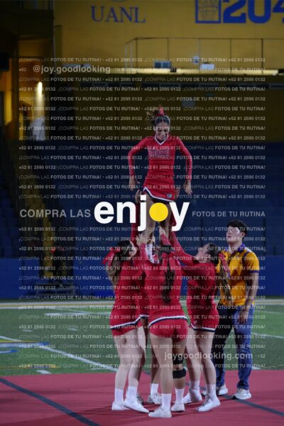 Efy0308