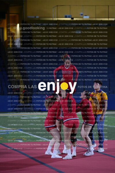 Efy0309