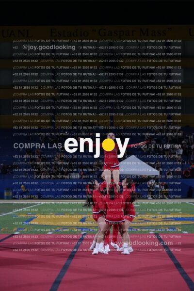 Efy0310