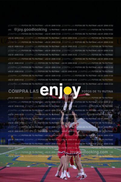Efy0312