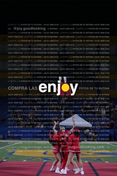 Efy0315