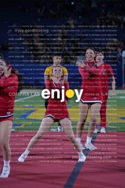 Efy0319