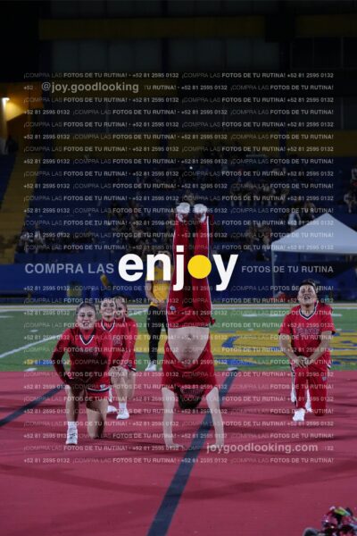 Efy0325