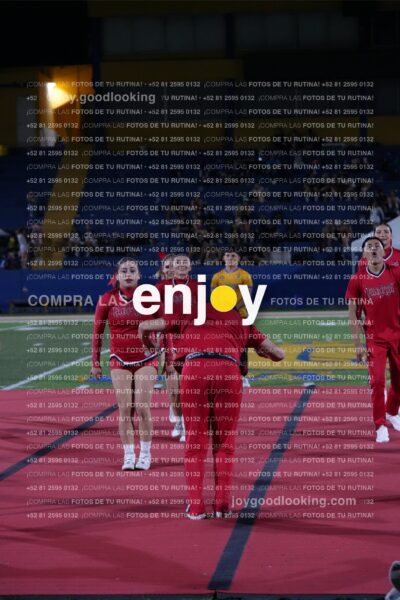 Efy0331