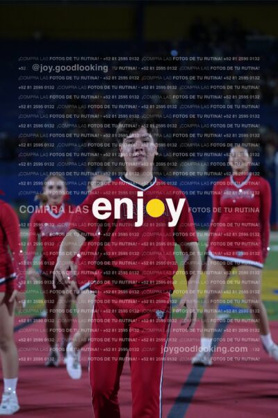 Efy0333