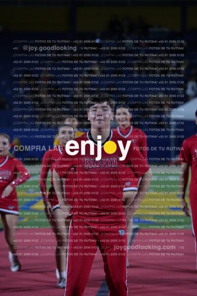 Efy0336