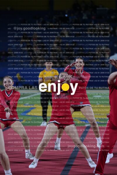 Efy0338