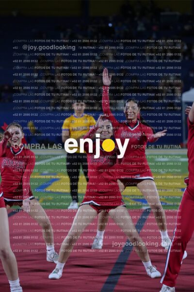 Efy0339