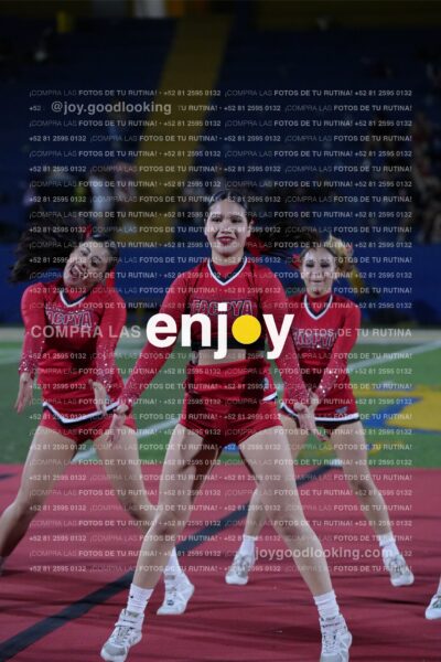 Efy0343
