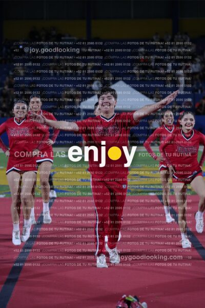 Efy0351