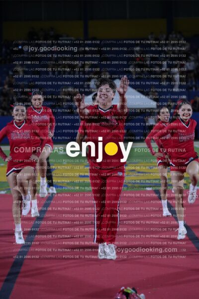 Efy0352
