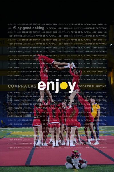 Efy0385