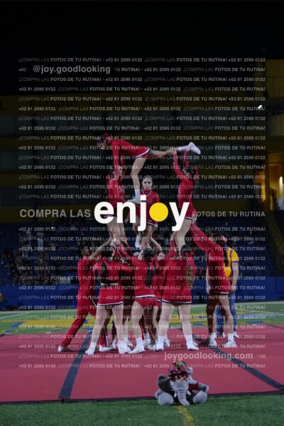 Efy0391