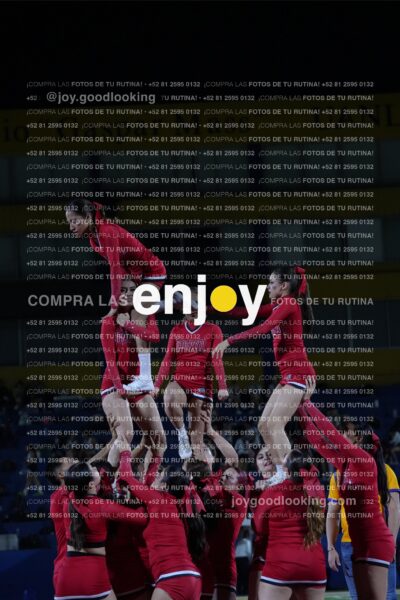 Efy0393