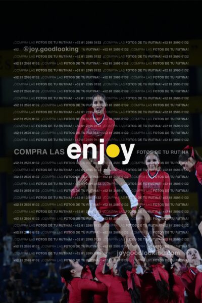 Efy0395