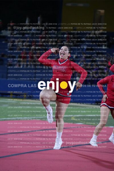 Efy0410