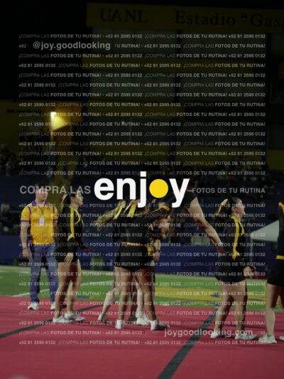 Joy00193