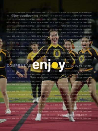 Joy00255