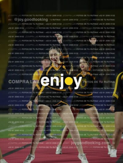 Joy00271