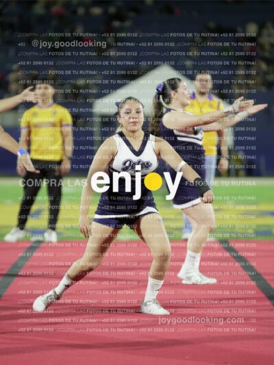 Joy00325