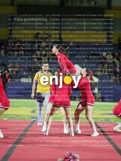 Joy00428